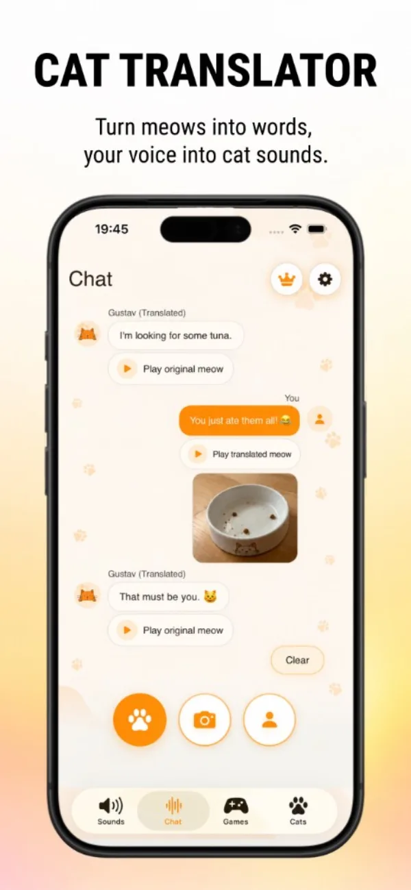 Cat Translator chat with playful meow translations