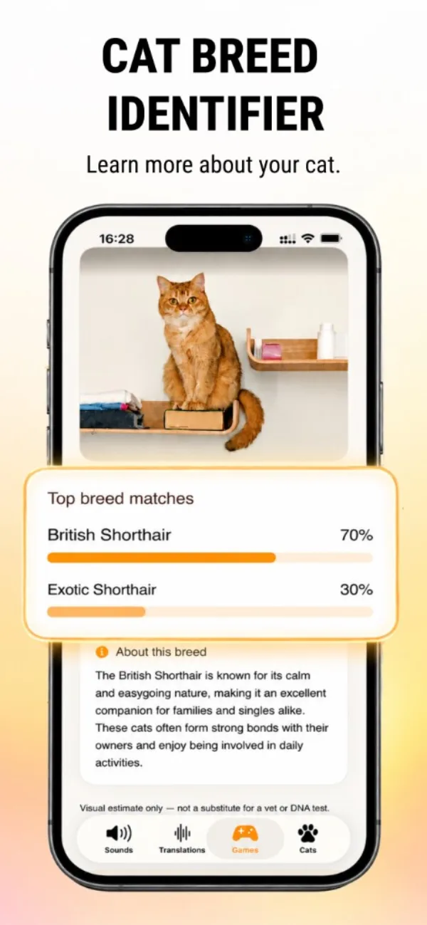 Cat breed identifier showing British Shorthair and Exotic Shorthair match percentages